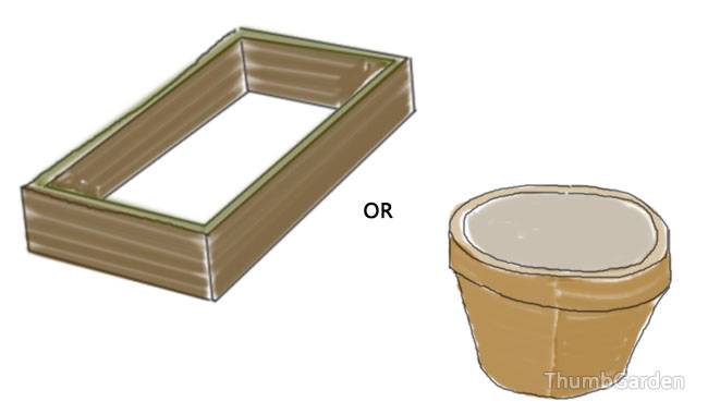 Make an elevated bed or choose a container