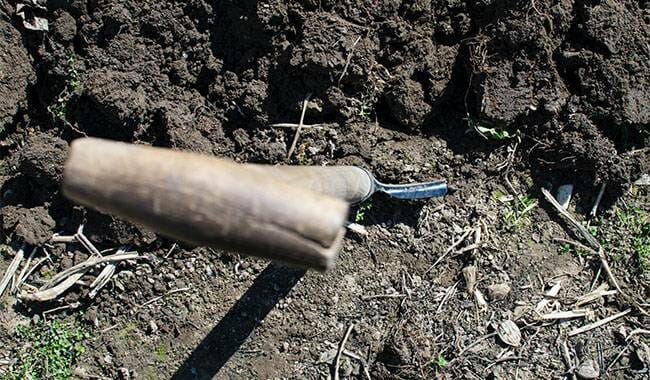 Digging up the soil - how to grow carrots