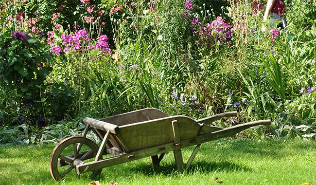 The Right Planting Place - beautiful flower garden