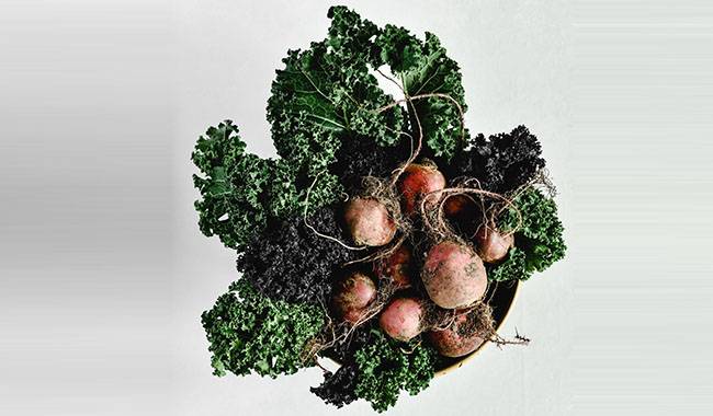 28 interesting facts about beets
