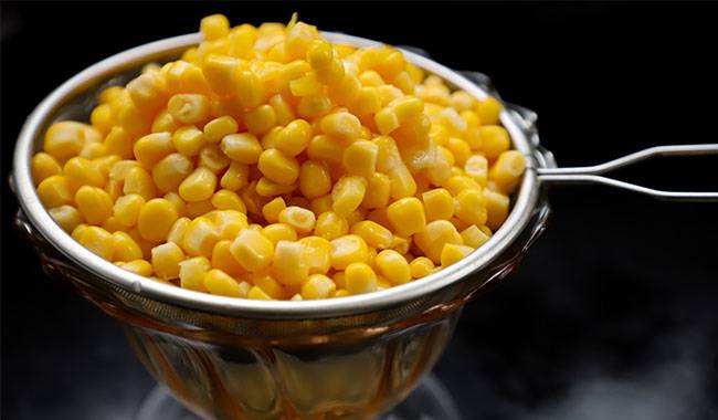 Gourmet on the table(Is corn good for you)