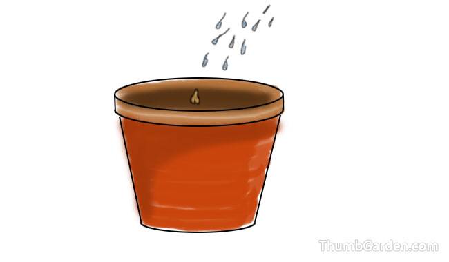 6.Cover with mulch film and make holes for air circulation and water some warm water promptly