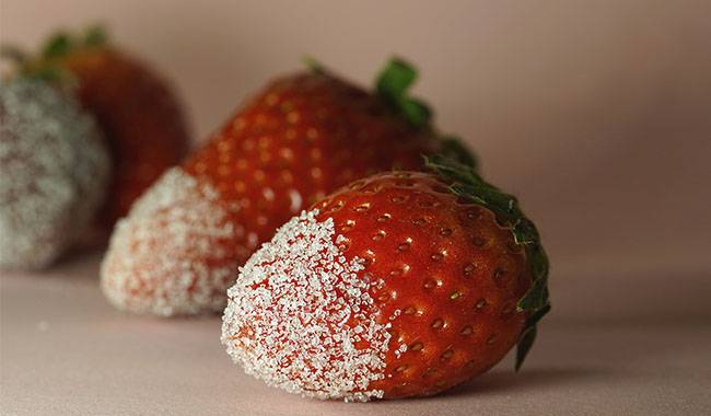 HOW TO FERTILIZE STRAWBERRIES IN AUTUMN