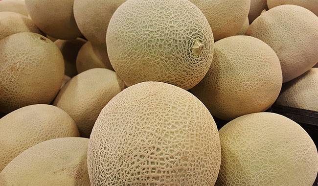 How to pick a ripe cantaloupe Tips for beginners