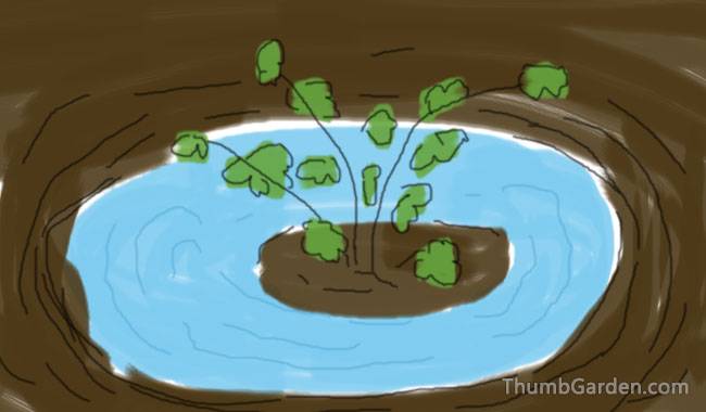 How to plant - ThumbGarden