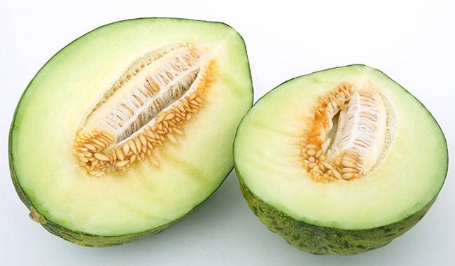 How to plant honeydew seeds