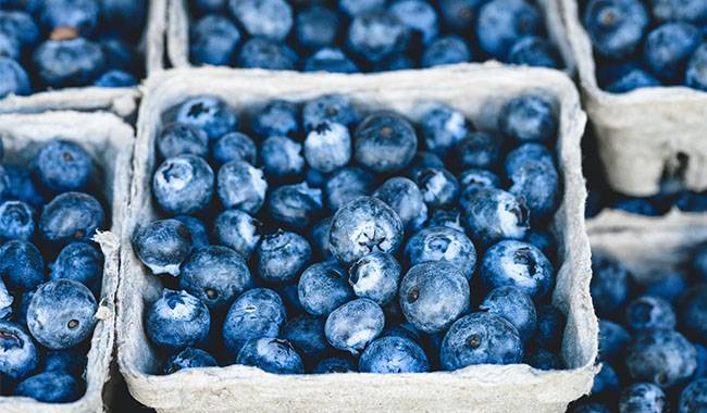 How to storing fresh blueberries for a long time