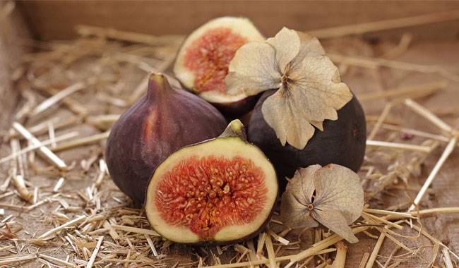 How to tell if figs are ripe Tips for beginners