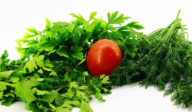 Interesting facts about coriander