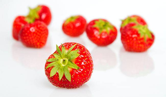Top 13 FAQ about strawberry plants