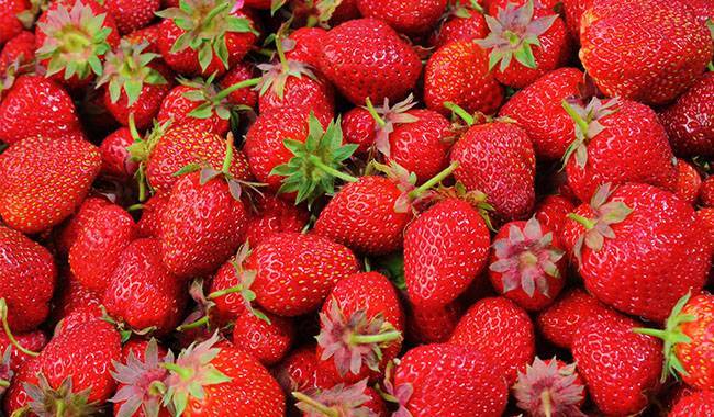 7 tips for a great garden strawberry harvest