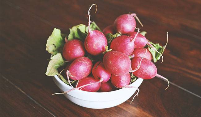 Harvesting and storage of radish