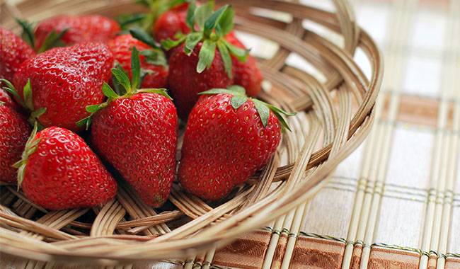 Organic fertilizers for strawberries