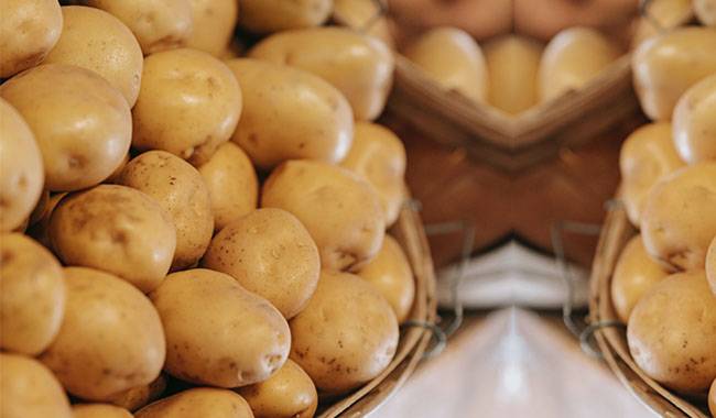 The misunderstanding about potatoes Which potatoes are hazardous to the healthy