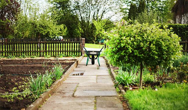 How to restorative garden after the winter