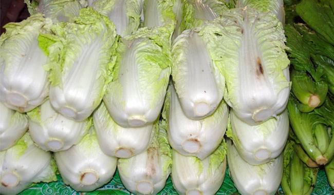 How to take good care of Chinese cabbage