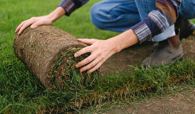 Lawn soil preparation and application