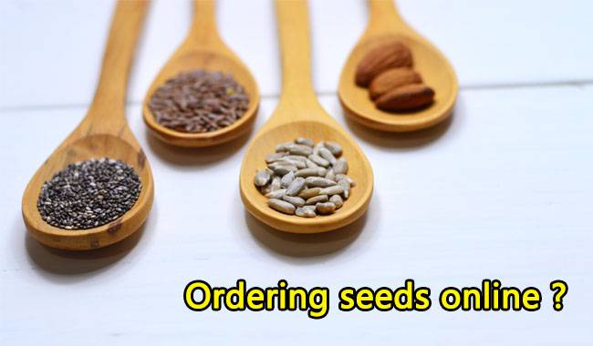 Ordering seeds online the pros and cons of online shopping