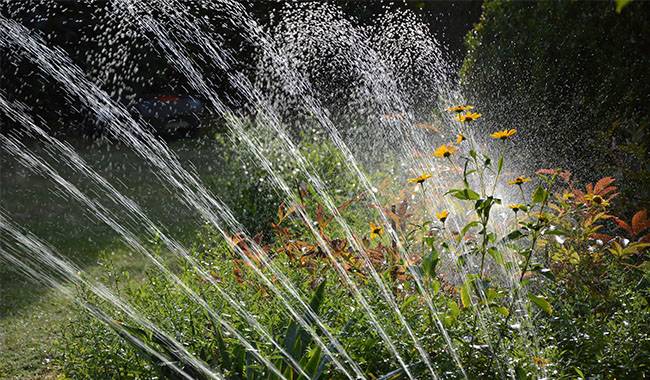 Types of irrigation Pros and Cons