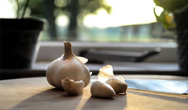How and when to plant garlic bulbs before winter