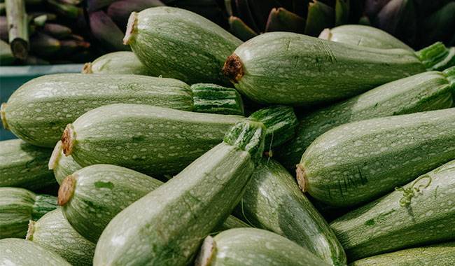 How to preserve zucchini and pumpkin for the winter at home