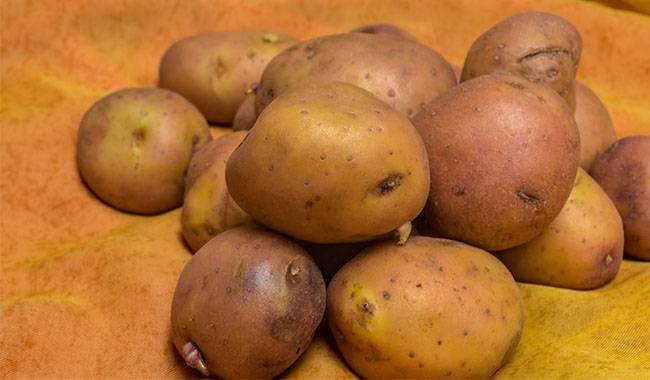 Storage them long term, and how to save seed potatoes