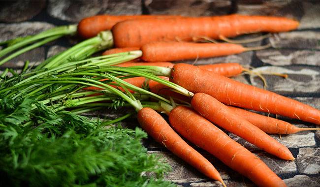 When to harvest carrots and beets