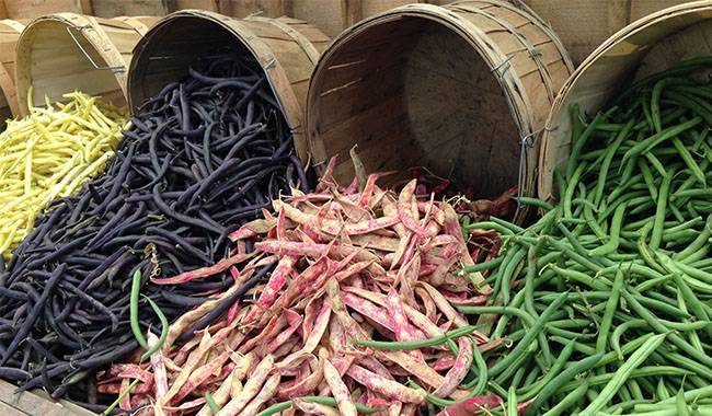 Beans are a strategic crop and one of the top 10 healthiest vegetables