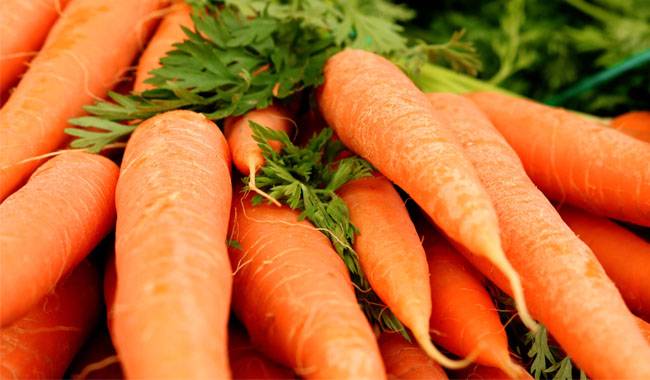 How to grow big and sweet carrots？The secret to success