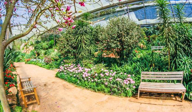 How to make the most of the greenhouse in garden