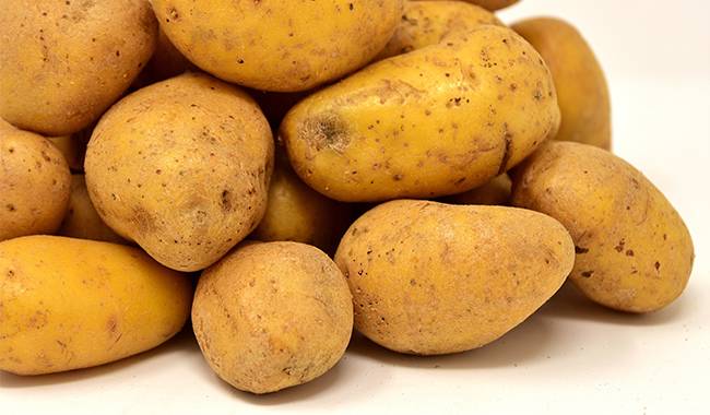 How to store potatoes and keep them fresh properly