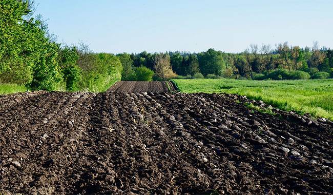 Maintain soil fertility How to choose the right fertility