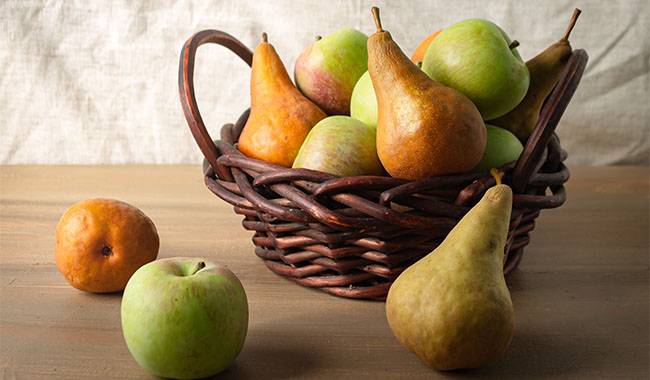 Pear varieties in different regions of the united states