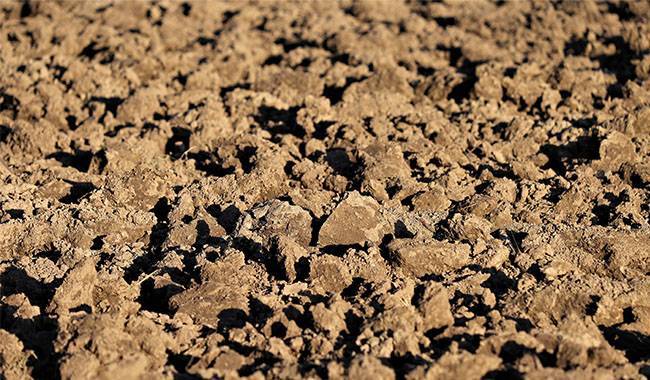 Soil's depleted nutrients and maintain soil fertility