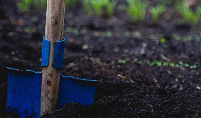 What is a soil conditioner And how to use soil conditioner
