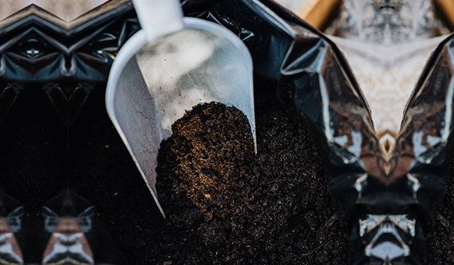 How To Detect And Improve Soil Quality