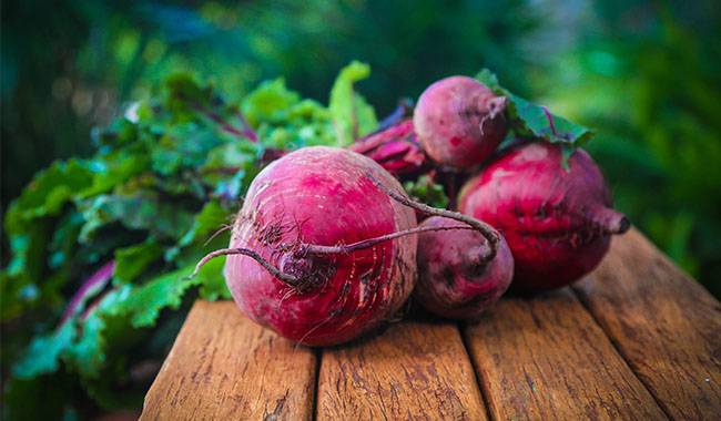 How To Grow Beets - Information, Varieties, Care, And Harvest