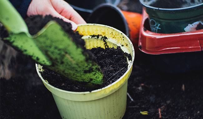 It Is Better To Prepare Your Own Rich Gardening Soil