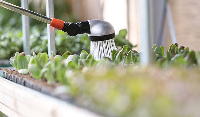 Types Of Irrigation - Watering Tips