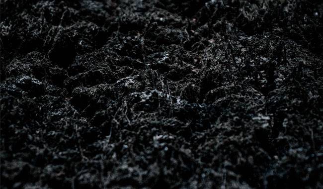Black Soil - Type Of Soil