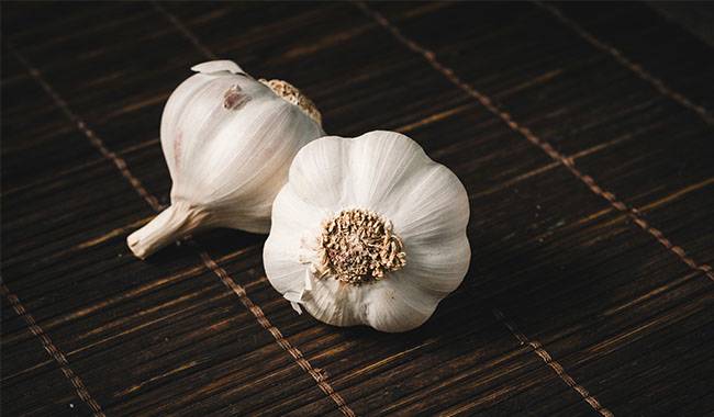 Growing winter garlic