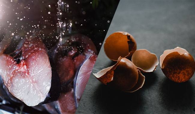 Water Leftover From Washing Fish Or Meat & Eggshells