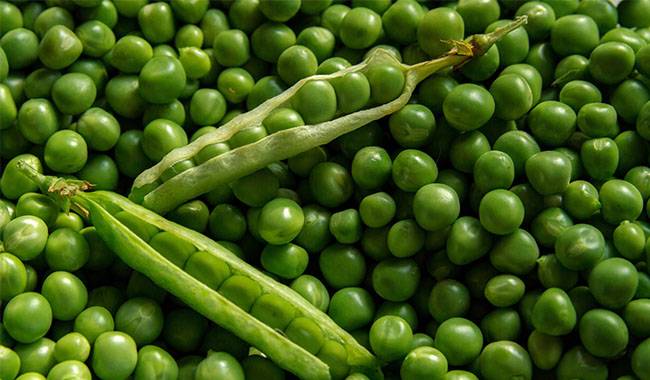 Sugar Snap Peas - How To Plant Peas