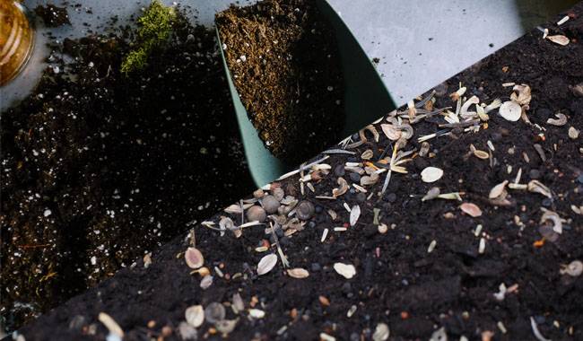 Mixed Soil & Peat Soils - Substrate