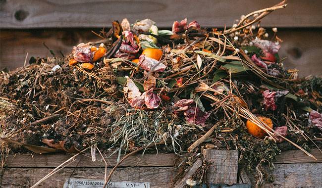 Compost Can Be Made from Anything - Any Kind of Waste