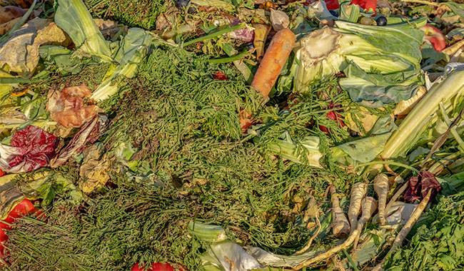 Compost is Great on Its Own, and Biologicals Are Already a Luxury