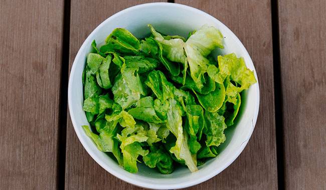 Lettuce - 7 Easy Vegetables for Beginners