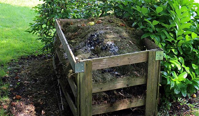 The 10 Misunderstand and Legends About Composting