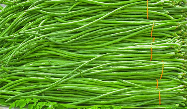 Yardlong bean - 8 Unpretentious Vegetable Crops